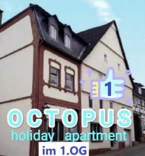 OCTOPUS-1 Monteurwohnung in Zentrum! 2-zkb in 1og